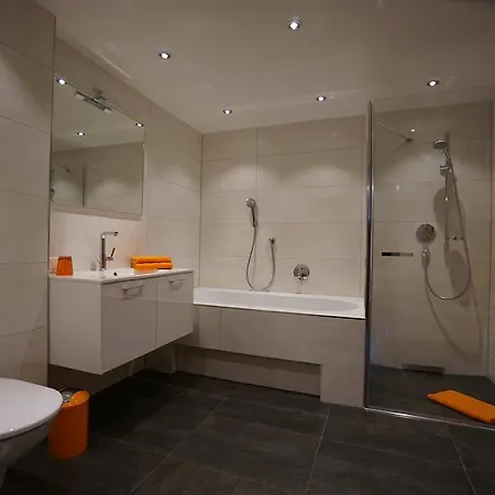 Fam Alfons Geiler * 海因费尔斯