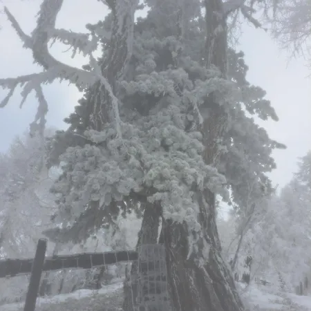 Fam Alfons Geiler 公寓 海因费尔斯