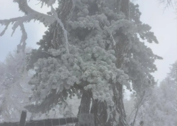 Fam Alfons Geiler Apartmán Heinfels