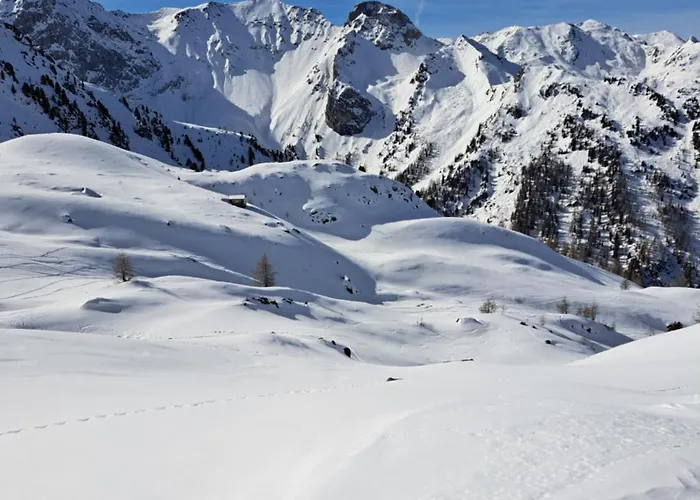 Fam Alfons Geiler Heinfels